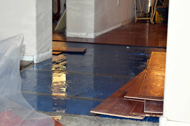 Professional Water Damage Restoration technician working in Blue Jay, OH